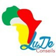 LUDE CONSEILS Sarl-U